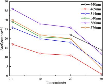 Early Noninvasive Monitoring of Hypoxic State of Diabetic Foot Based on Diffuse Reflectance Spectroscopy